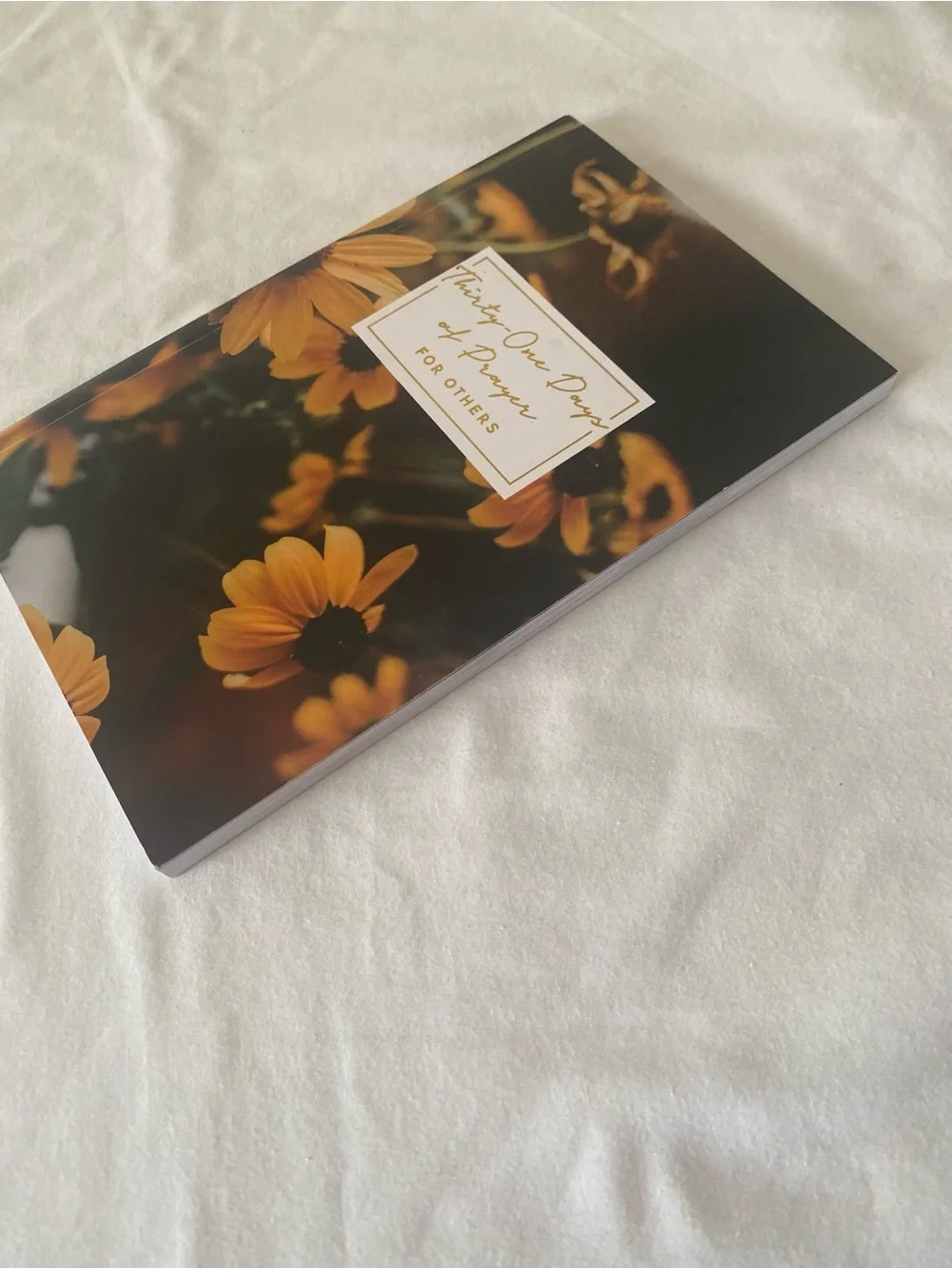 The Daily Grace Co. Thirty-One Days of Prayer for Others Paperback 2022 ISBN